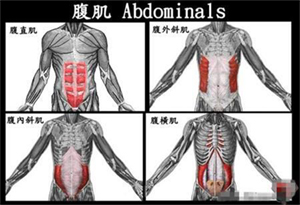 腹肌怎么練,力諾健健身器材公司告訴你.jpg